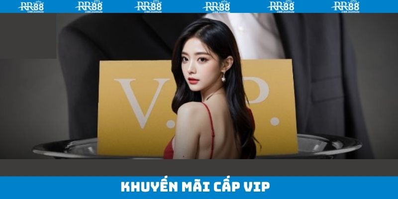 Khuyến Mãi Cấp VIP - Chương Trình Độc Quyền Trên RR88