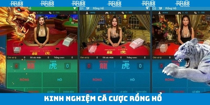 Bật mí những mẹo chơi Rồng Hổ bất bại cho newbie