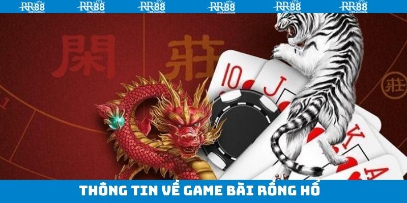 Tổng quan vài điều cần biết về Rồng Hổ