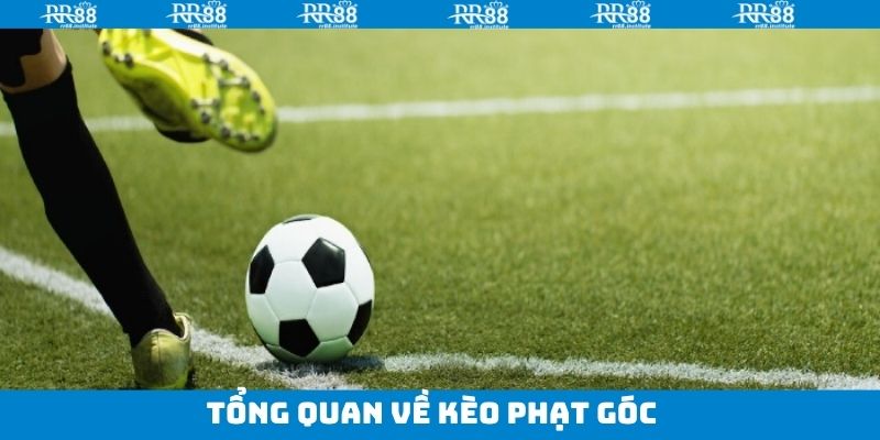 Khái quát vài nét về hình thức cá độ được ưa chuộng